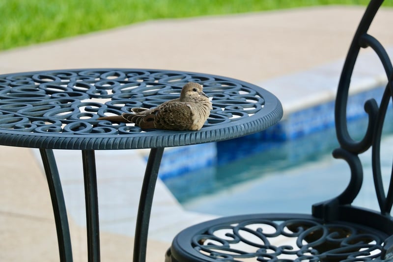 Patio transformations