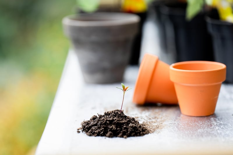 Newspaper Seedling Pots